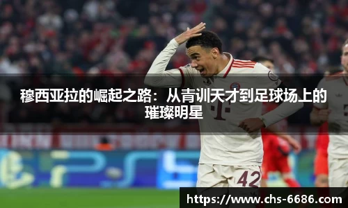 6686体育官方网站